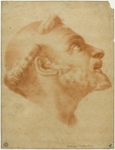 Pyhän Dominicin ylösnoussut pää tekijältä Lorenzo Sabbatini