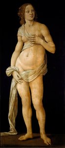 Venus (tempera puulla, n. 1490)