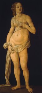 Venus tekijältä Lorenzo di Credi