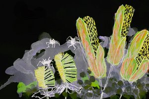 Hohtava yöpuutarha tekijältä Lori Ann Folz