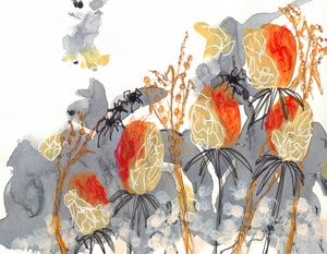Oranssi banksia ja hämähäkit tekijältä Lori Ann Folz
