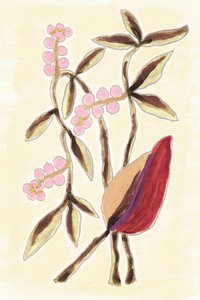 Pink Berry Botanicals tekijältä Lori Ann Folz