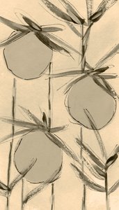 Sepia-puuvillakasvit