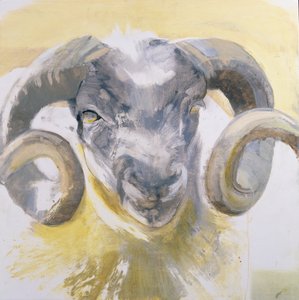 Long Horn Sheep (sekoitettu media gesso-paneelilla)