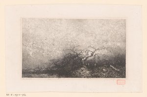 Maisema puulla uima-altaalla Erilaisia ​​maisemia (sarjan nimi) Croquis du voyage de 1843 (sarjan nimi)