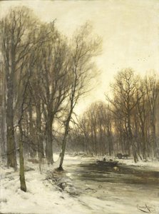 Iltapäivän näkymä Snowy Woodsiin