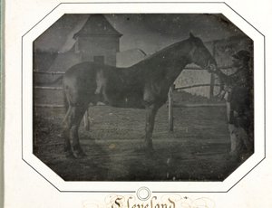 Cleveland tekijältä Louis Auguste Bisson