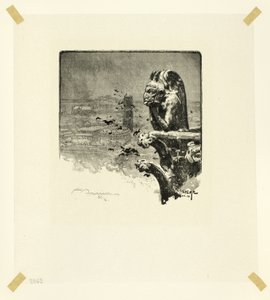 Notre-Damen vampyyri, levy yhdeksän, Le Long de la Seine et des Boulevards -teoksesta. tekijältä Louis Auguste Lepère