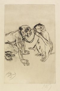 Vertaileva anatomia tekijältä Louis Auguste Mathieu Legrand