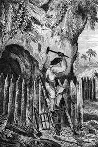 Istutin kymmenen riviä palisadeja. kaiverrus M. de Sainsonin piirustuksen mukaan Daniel Defoen kirjaan (De foe) "Robinson Crusoe"" ranskankielinen painos vuodelta 1837.