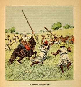 Madagaskarin sota - Henri Galli dit Galllichetin (1854-1922) ranskalaisten tutkimusretkien anekdoottinen historia, kuvittanut Louis Bombled (1862-1927): Villihärkien metsästys Madagaskarilla vuonna 1895, yksityinen kokoelma tekijältä Louis Charles Bombled