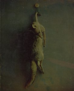 Fox, n. 1870. tekijältä Louis Ducos du Hauron
