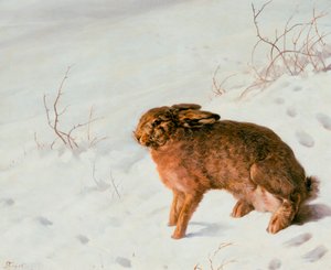 Jänis lumessa, 1875 tekijältä Louis Ferdinand von Rayski