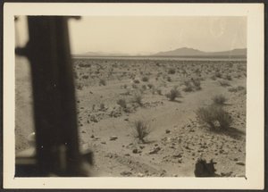 [Amargosa Desert Plants] tekijältä Louis Fleckenstein