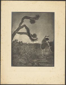 Apache-tanssi tekijältä Louis Fleckenstein