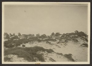 [Dunes] tekijältä Louis Fleckenstein
