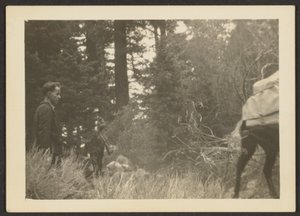 [Hahmot metsäisessä maisemassa] tekijältä Louis Fleckenstein