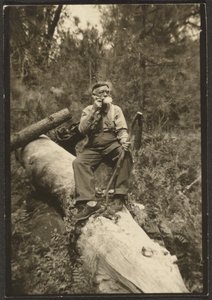 [Fleckenstein on a Log] tekijältä Louis Fleckenstein