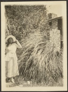 [Florence ja Wild Grass] tekijältä Louis Fleckenstein
