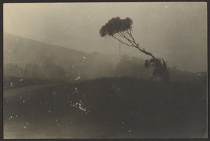 Laguna Beach tekijältä Louis Fleckenstein