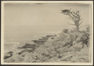 [Maisema]