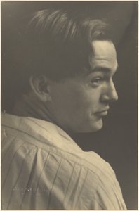  tekijältä Louis Fleckenstein