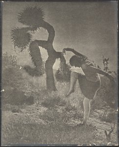  tekijältä Louis Fleckenstein
