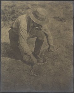  tekijältä Louis Fleckenstein