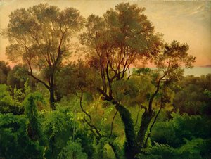 Rinne oliivipuiden kanssa tekijältä Louis Gurlitt