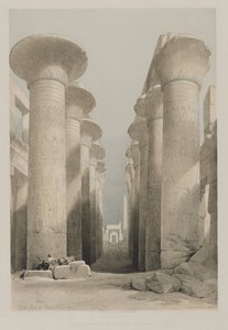 Egypti ja Nubia, osa I: Thebes, Great Hall at Karnac tekijältä Louis Haghe