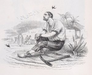 Pääskyset teoksesta The Complete Works of Béranger, 1836. Tekijät: Louis-Henri Brevière, Cesar-Auguste Hebert. tekijältä Louis Henri Brevière, Cesar Auguste Hebert