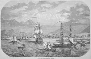 Port-au-Prince (kaiverrus)