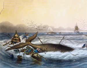 Valaanpyynti Etelämerellä, Louis Lebretonin (kuollut 1866) värilitografia