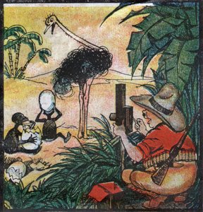 Nestor Fenleroc, eurooppalainen kaksoispiste kuvaa strutsin Afrikassa. 1923 (kaiverrus)