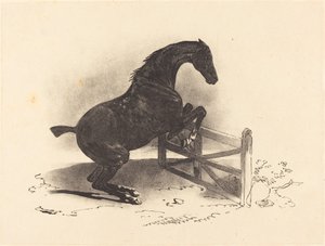 Hevonen hyppää esteellä tekijältä Louis Pierre Marie Courtin after Théodore Gericault