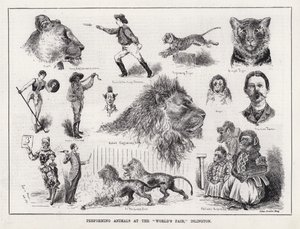 Esiintyvät eläimet "maailmannäyttelyssä", Islington (kaiverrus) tekijältä Louis Wain