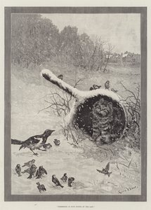 Omistus on yhdeksän lain kohtaa tekijältä Louis Wain