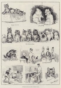 Luonnokset Cat Show