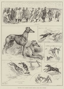 Luonnokset Waterloo Coursing Meetingissä, Altcar, lähellä Liverpoolia (kaiverrus) tekijältä Louis Wain