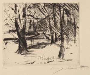 Puut auringossa tekijältä Lovis Corinth