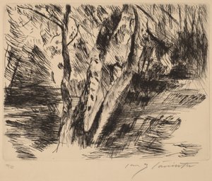 Koivut Tiergartenissa, 1920-1921. tekijältä Lovis Corinth