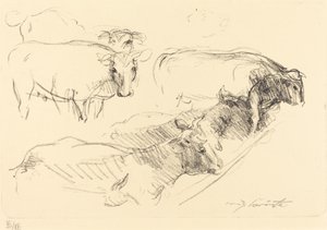 Lehmät Lehmät, 1910. tekijältä Lovis Corinth