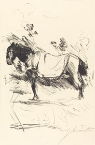 Reitpferd (ratsastushevonen) tekijältä Lovis Corinth