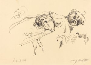 Schafböcke (oinaat) tekijältä Lovis Corinth