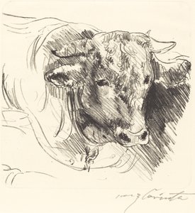 Stierkopf (ohjaajan päällikkö) tekijältä Lovis Corinth