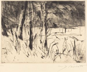 Eläintarha tekijältä Lovis Corinth