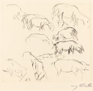 Various Animal Studies Animal Studies, 1917. tekijältä Lovis Corinth