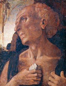 Pyhä Hieronymus, Luca Signorellin (noin 1441 tai 1450-1523) ansioksi. tekijältä Luca (attr.to) Signorelli