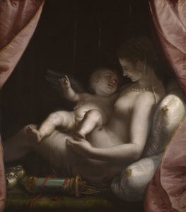 Venus ja Cupid, n. 1570 (öljy kankaalle) tekijältä Luca Cambiaso