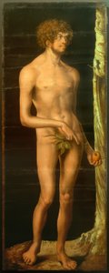 Adam tekijältä Lucas Cranach the Elder
